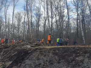 Вблизи поселка Газопровод состоялся субботник. Фото: архив префектуры ТиНАО