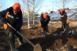 Более 120 видов многолетних растений высадят в «Зарядье» весной