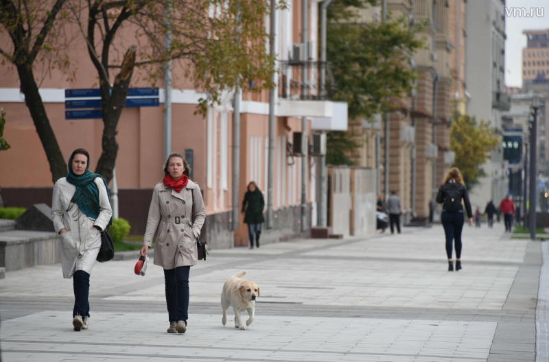 Жителям Москвы понравились результаты программы «Моя улица»