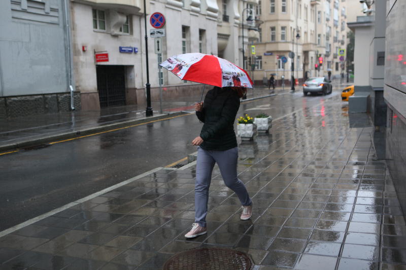 Облачная погода и дожди ожидают москвичей 14 апреля