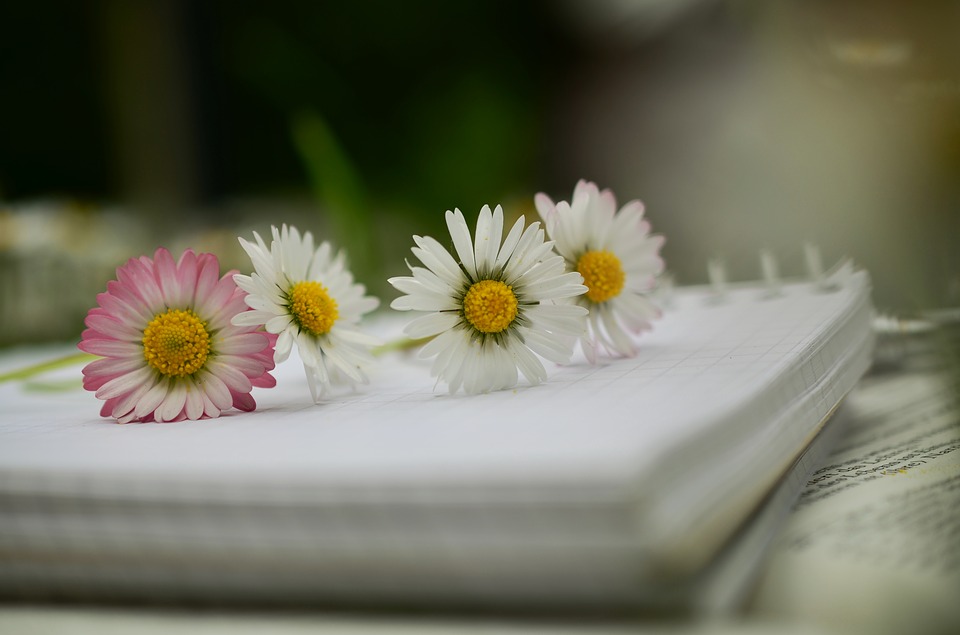 Детей научат выращивать бумажные цветы на субботнике в Десеновском