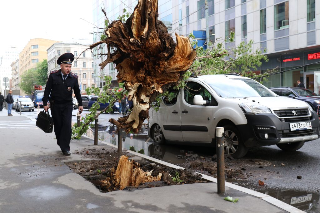 Страховщики оценили ущерб от урагана в Москве