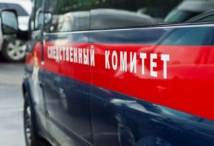 Следователи проверяют информацию об избиении школьницы в Москве