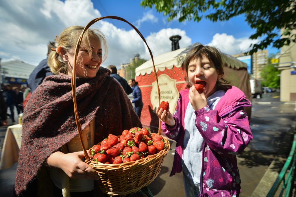 Фестиваль клубники: москвичи смогут приобрести более 20 сортов летней ягоды
