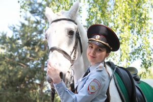 В прошлом году ведомство закупило два солярия для скакунов. Фото: Наталия Нечаева, «Вечерняя Москва»