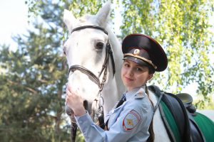 Полиция Москвы закупит десять орловских скакунов