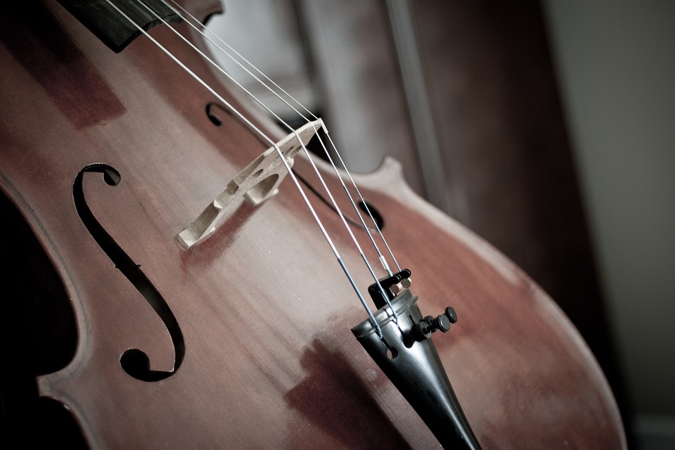 Гости услышат музыкальные композиции в исполнении виолончели. Фото: pixabay.com