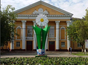Гигантскую ромашку установили в Щербинке 4 июля. Фото: администрация городского округа Щербинка