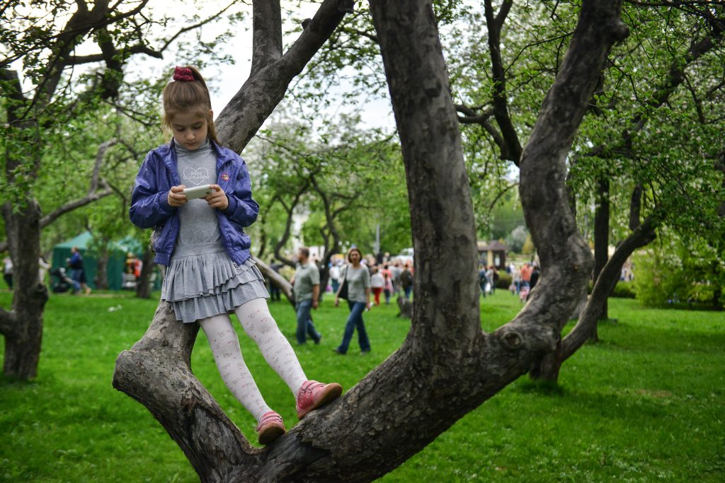 Ко Дню города в Москве обустроят 130 парков. Фото: "Вечерняя Москва"