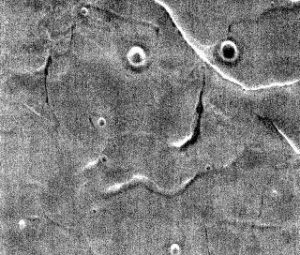 В интернете опубликовали «человеческое лицо» Марса