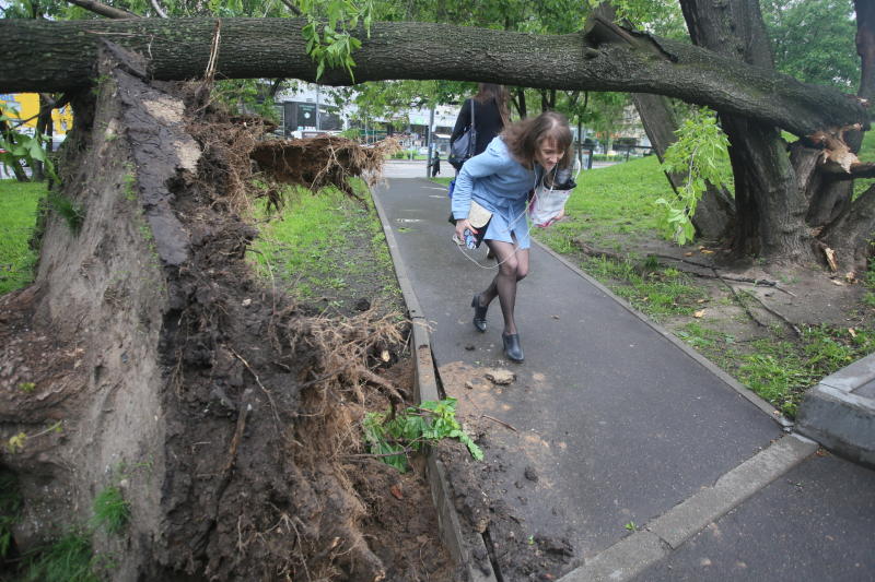 Последствия урагана в Москве ликвидировали