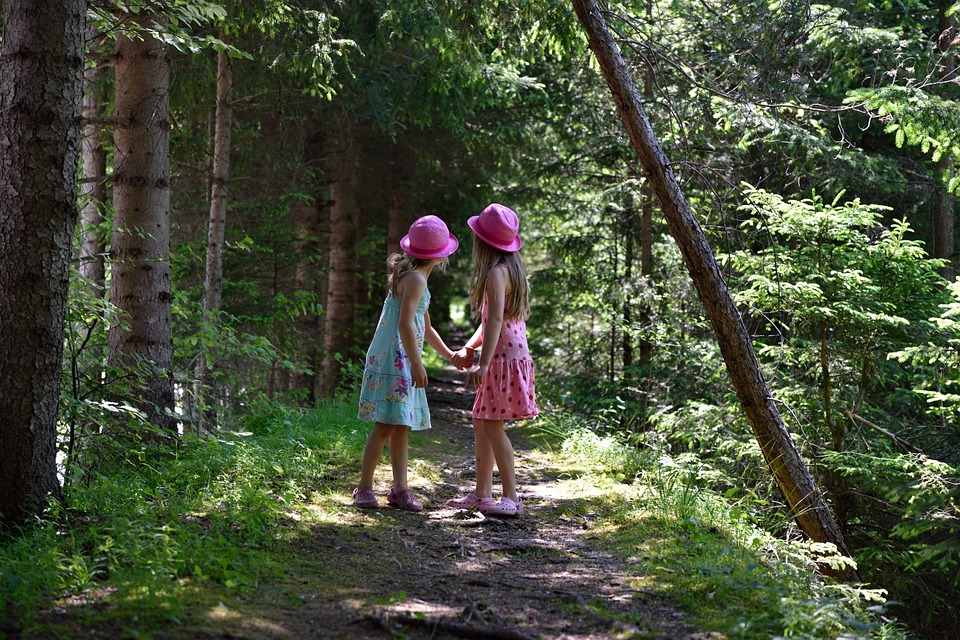 Юные путешественники поселения Краснопахорское отправятся в поход. Фото: сайт Pixabay