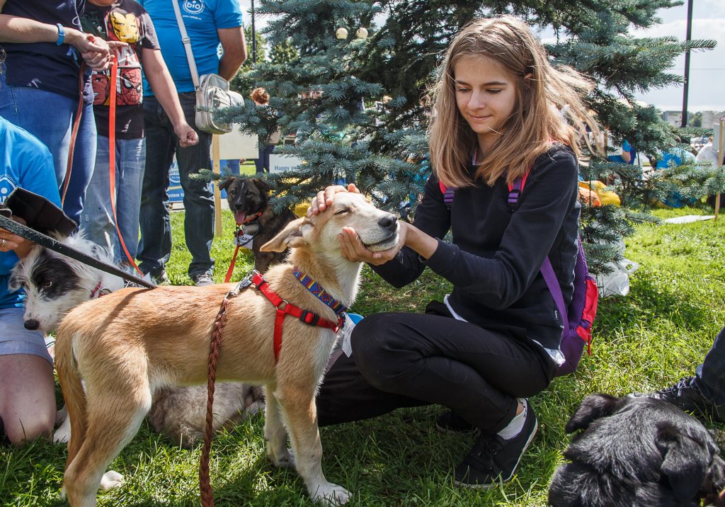 Беседу о чистоте проведут с владельцами собак активисты Воскресенского