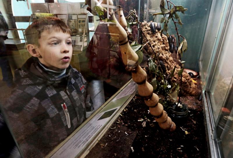 Один из крупнейших в Европе инсектариев появится в Московском зоопарке