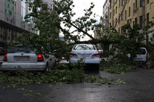 ЦОДД предупредил автомобилистов в Москве о сильном ветре