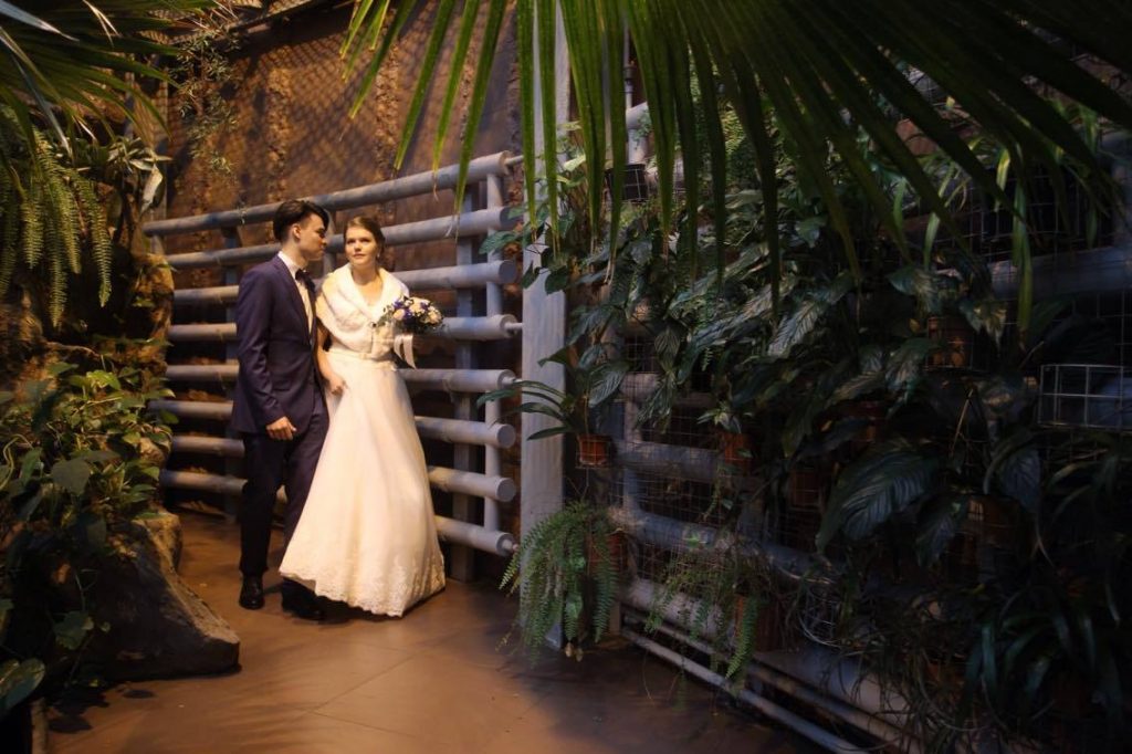 В зоопарке провели первую церемонию бракосочетания. Фото: архив, "Вечерняя Москва"