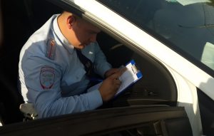 Нетрезвого водителя привлекли к уголовной ответственности в Крекшино. Фото: пресс-служба УВД по ТиНАО