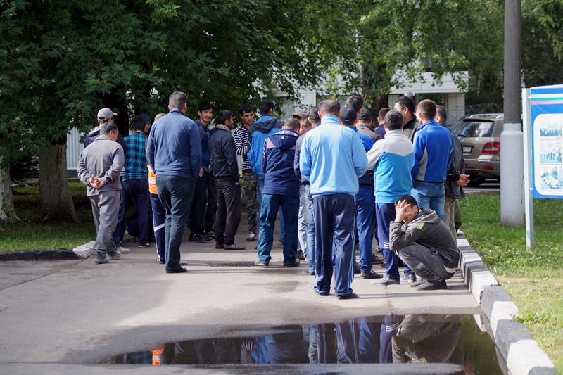 Полиция Новой Москвы выявила факт нарушения миграционного законодательства