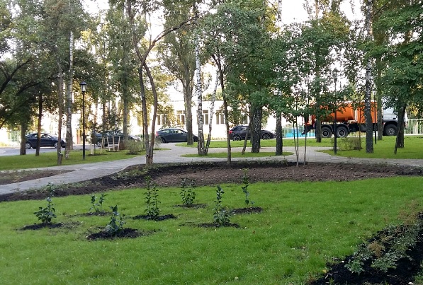Дополнительный этап озеленения улиц завершился в Щербинке