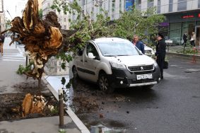 Водителей в Москве предупредили о сильном ветре