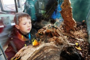 Детский зоопарк реконструируют в центре Москвы