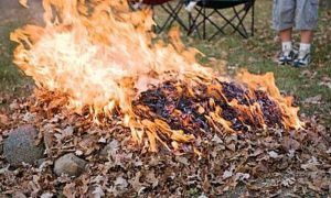 Жителям столицы напомнили о правилах пожарной безопасности. Фото: пресс-служба Управления по ТиНАО Департамента ГОЧСиПБ
