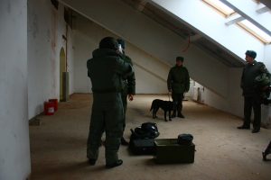 Подвалы и чердаки проверили в Кленовском
