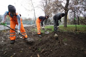 Планы на благоустройство в 2018 году сформировали в Роговском. Фото: архив