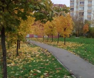 Количество участников фотоконкурса «Осенний отдых» увеличивается. Фото: страница Лидии Григорьян в социальных сетях