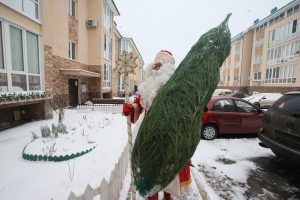 Вместе с елочкой принес Дед Мороз Андрей Любимов. Фото: Виктор Хабаров