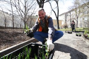 Новые цветники и клумбы появятся в Марушкинском. Фото: Александра Учаева, «Вечерняя Москва»