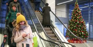 Средний рост хвойных красавиц составит полтора метра. Фото: mos.ru