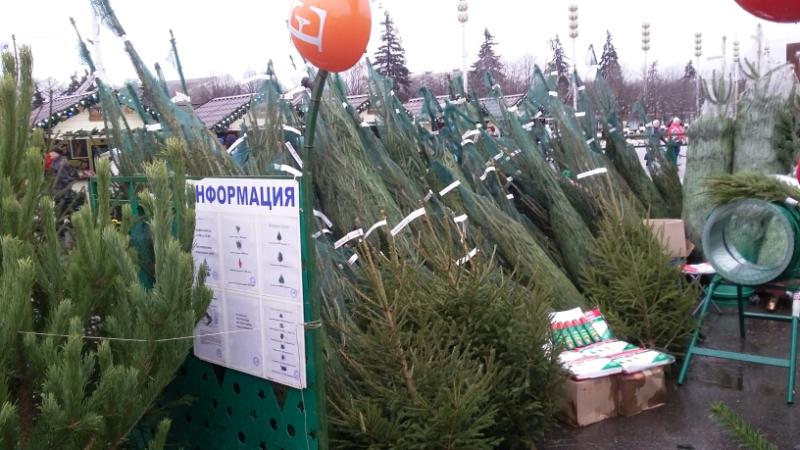 Первый елочный базар откроется в Десеновском