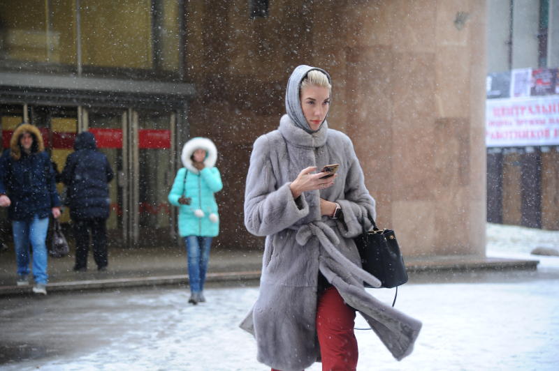 Синоптики сообщили о возвращении зимней погоды в Москву