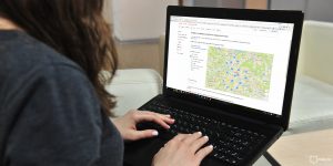 Представлено более 5,5 тысячи компаний по всему городу. Фото: mos.ru