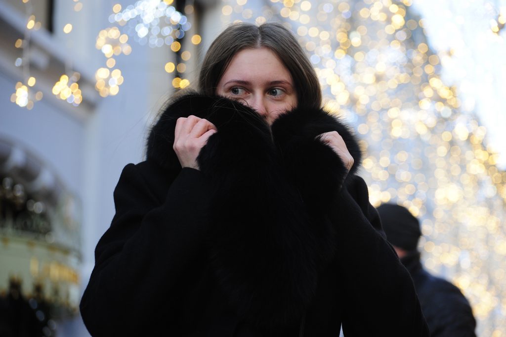 Синоптики Москвы назвали предстоящую ночь самой холодной с начала зимы
