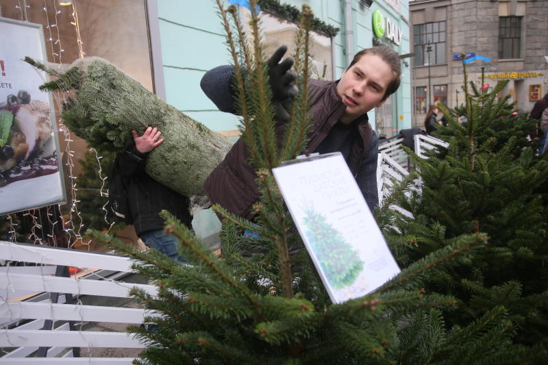Животным Московского зоопарка подарили нераспроданные елки