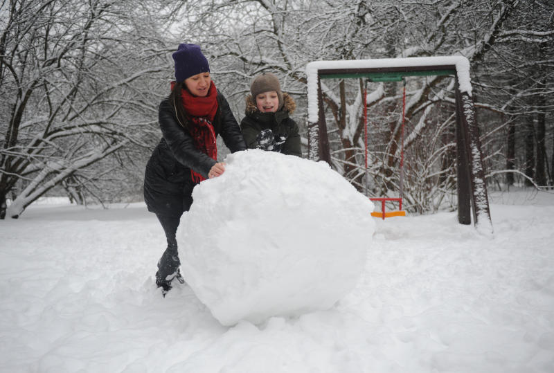 Снегопад 31 января стал сильнейшим с начала зимы в Москве