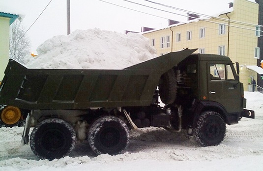 Семеновский полк бросили на борьбу со снегом в Москве