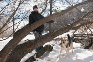 Количество зарегистрированных случаев заболевания животных заразными болезнями в Москве снизилось в три раза. Фото: Максим Аносов