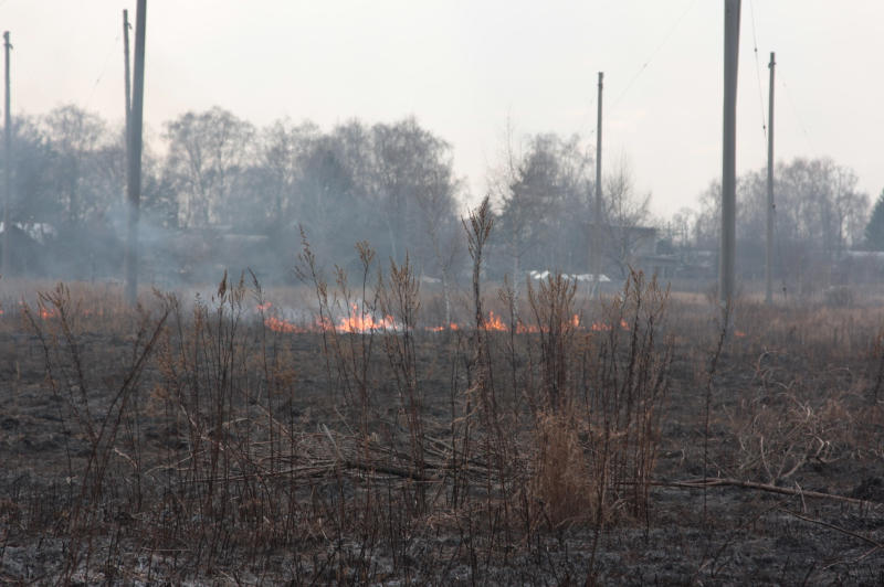 Московские власти хотят запретить сжигать траву и листья . Фото: Елена Горбачева, «Вечерняя Москва»