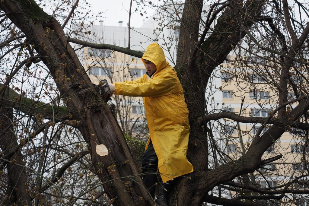 Разрушения после урагана: повалены более 900 деревьев. Фото: архив, «Вечерняя Москва»