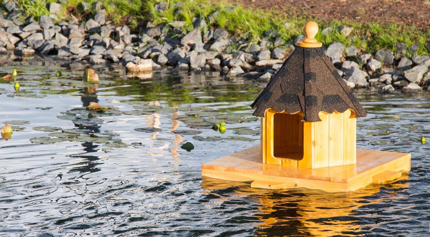 Московские утки получили плавучий дом в «Зарядье»