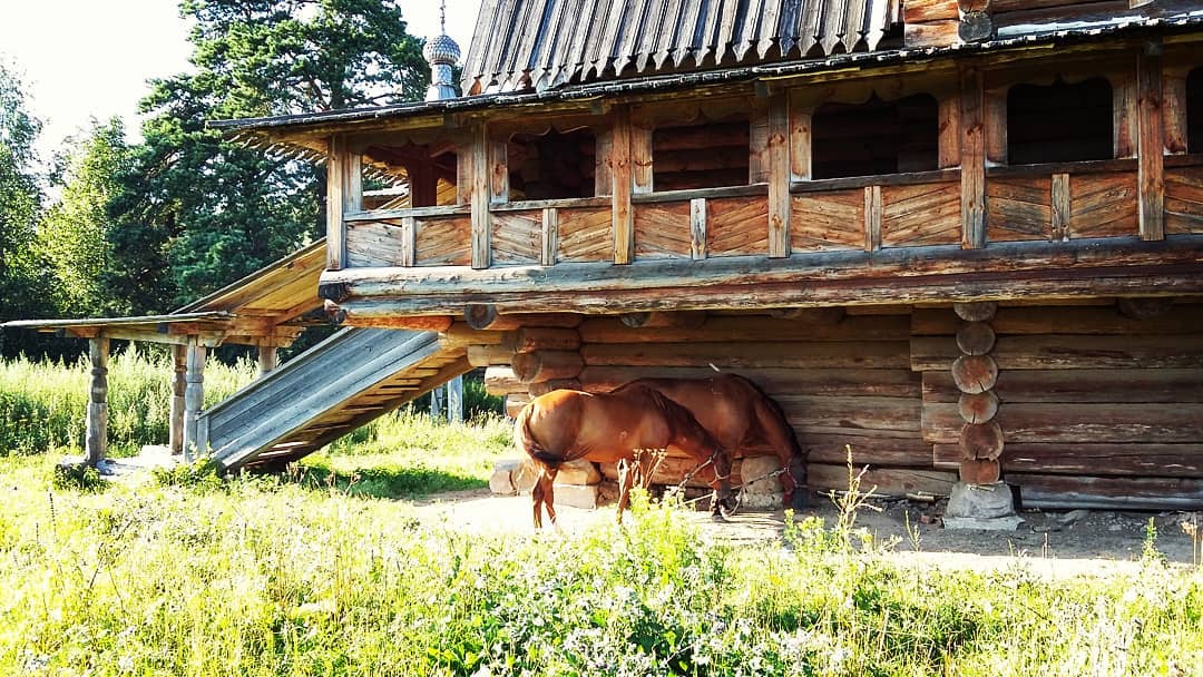 Лошади и старинный дом: участник фотоконкурса опубликовал снимок. Фото: страница пользователя voyons_2010 в сети Instagram