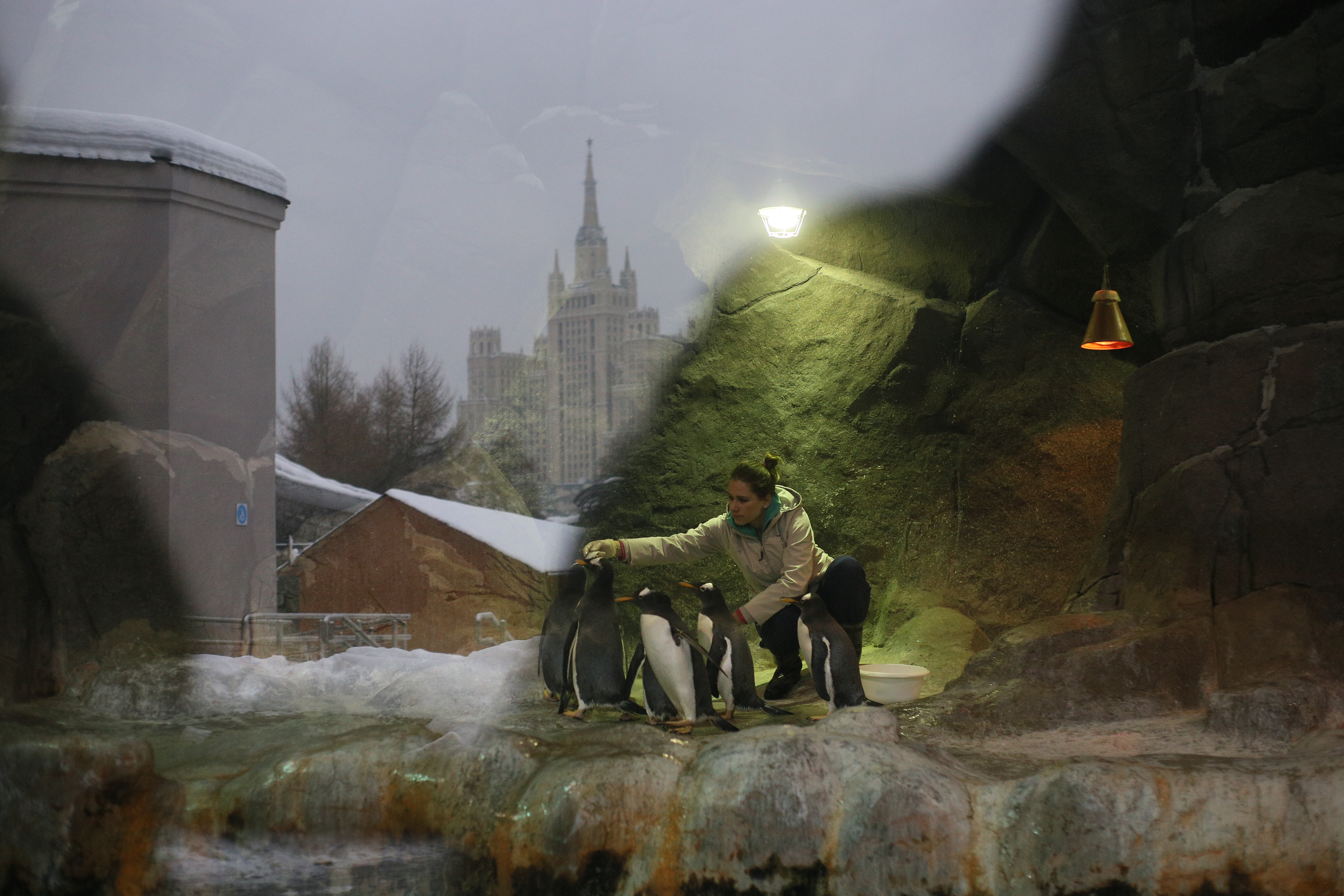 Зоопарк закроется в субботу из-за непогоды. Фото: архив, «Вечерняя Москва»