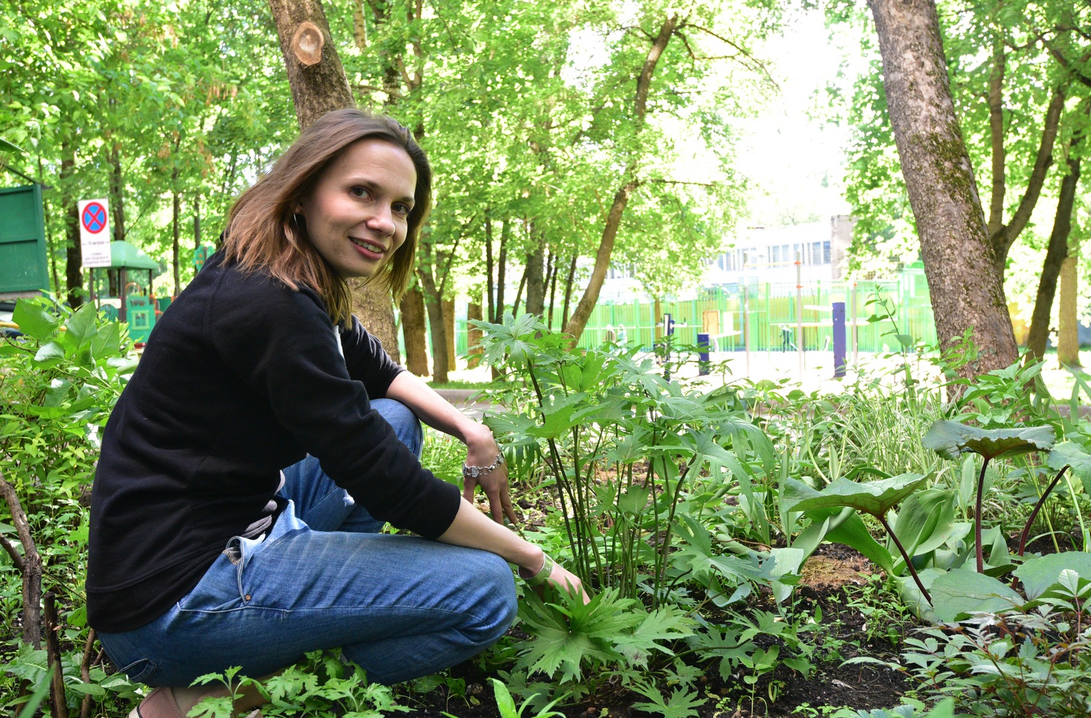 В Москве начали обработку деревьев от вредителей