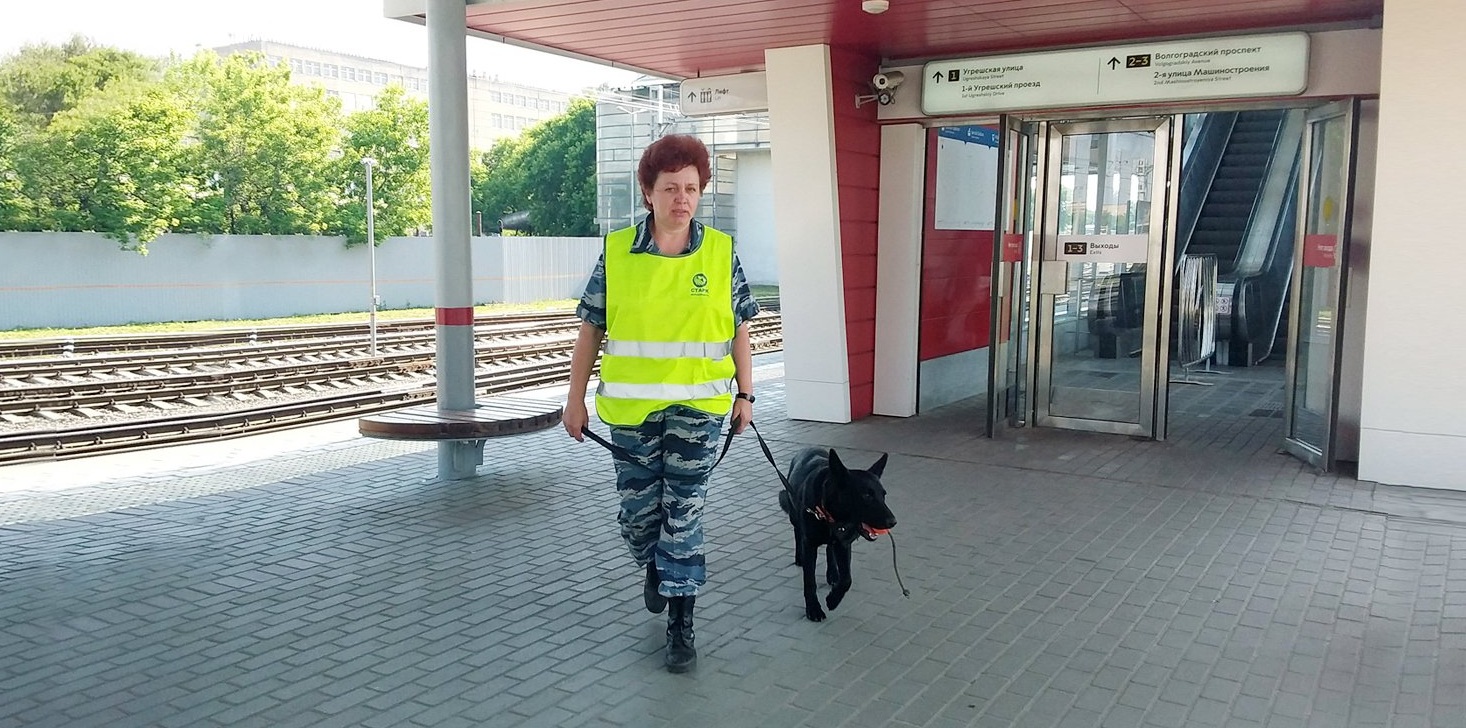 Кинологи с собаками работают в тесном взаимодействии с транспортной полицией, МЧС, с персоналом МЦК. Фото: mos.ru