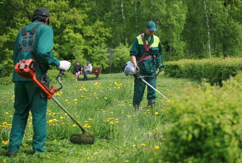 Специалисты покосили траву в Щербинке. Фото: архив, «Вечерняя москва»