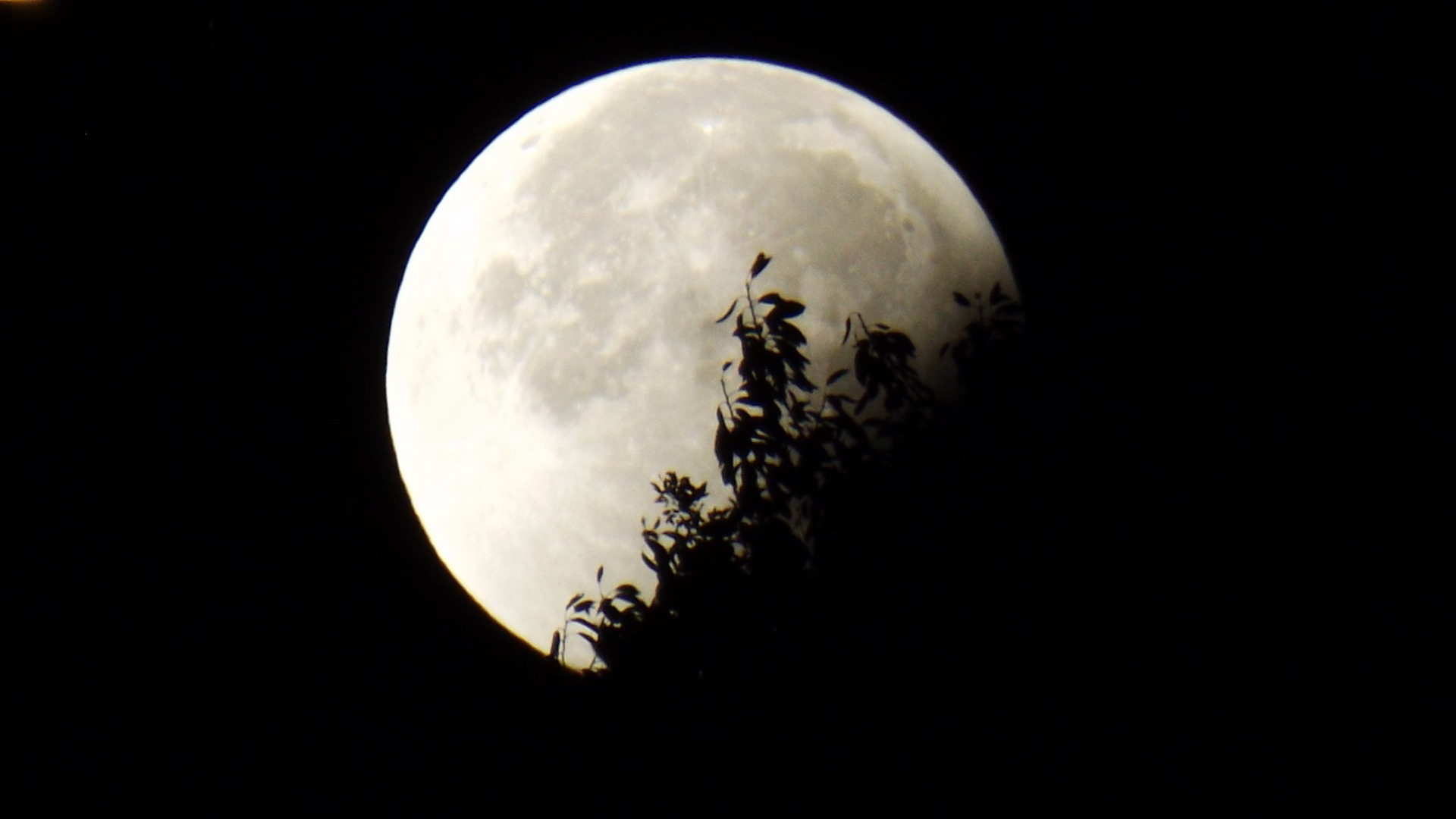 Москвичи увидят уникальное полное затмение Луны