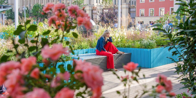 Конкурс любительских цветников проведут в Новой Москве